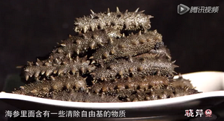 孝敬父母，為何首選海參？