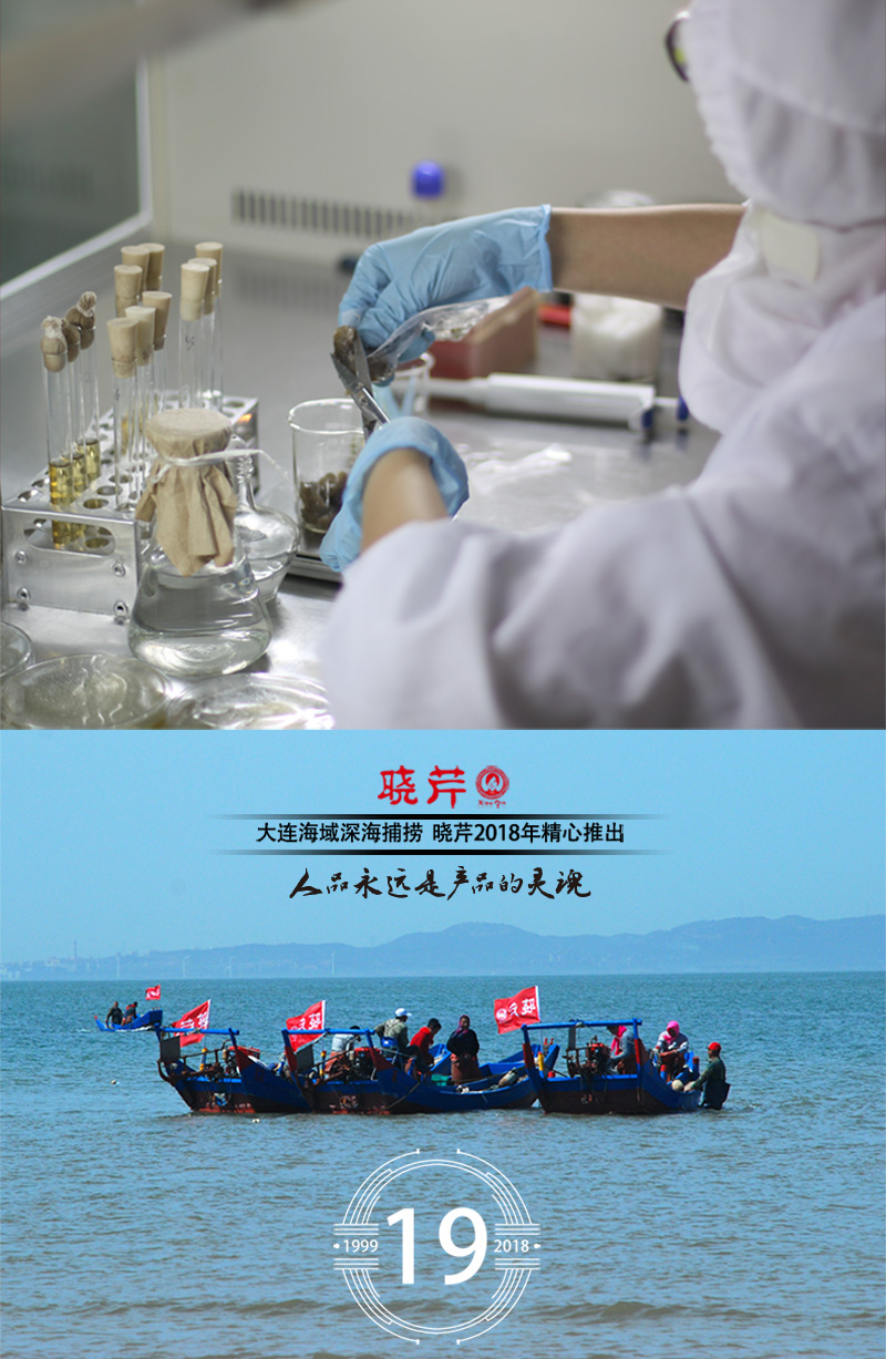 海參,干海參,大連海參,曉芹海參,海參品牌,遼刺參,海鮮水產 海參,干海參,大連海參,曉芹海參,海參品牌,遼刺參,海鮮水產