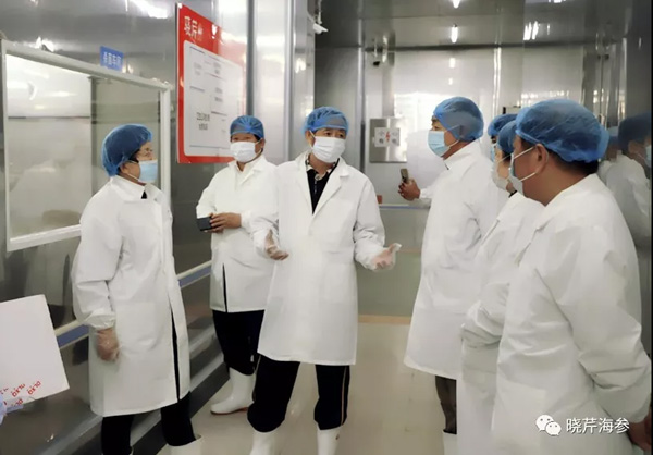 海參,曉芹海參,大連海參.jpg 海參,曉芹海參,大連海參.jpg