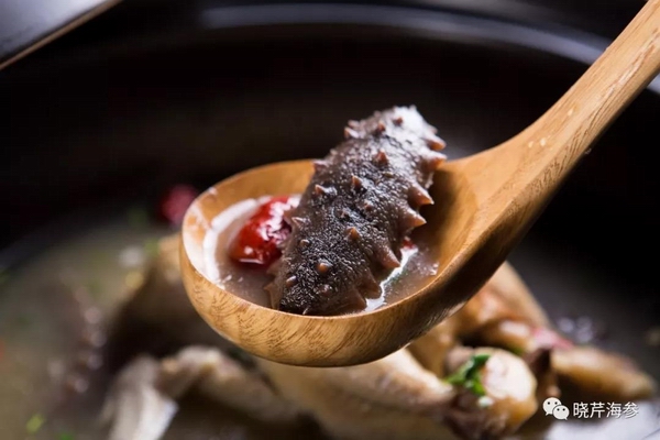 海參,大連海參,曉芹海參,抗擊疫情,疫情,菜譜,安全健康.jpg 海參,大連海參,曉芹海參,抗擊疫情,疫情,菜譜,安全健康.jpg